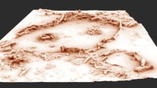 Researchers Find 175,000-Year-Old Caves Built by Neanderthals