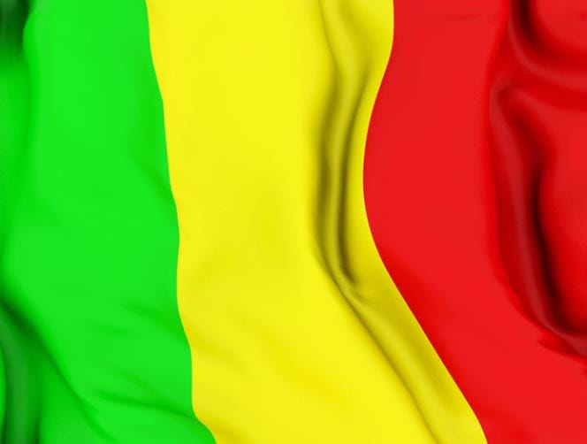  مقتل 5 جنود ماليين واصابة اربعة في انفجار لغم في شمال مالي