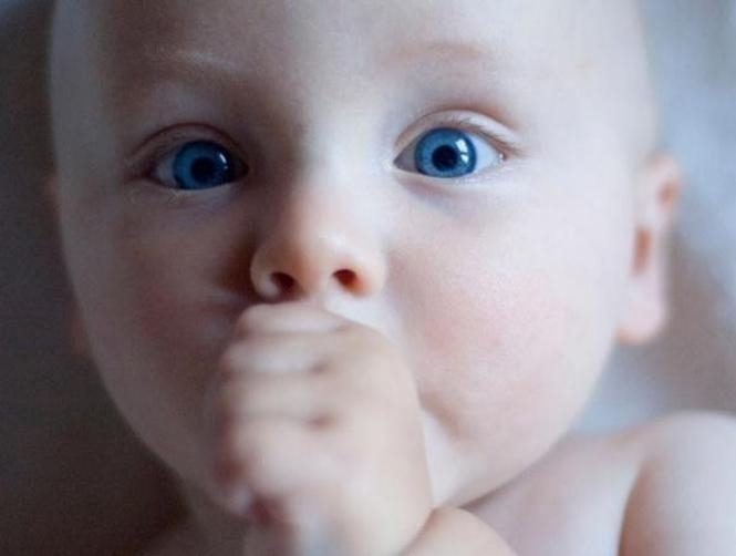 Main Highlight Image