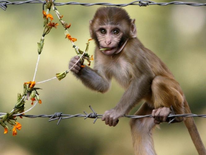 Main Highlight Image