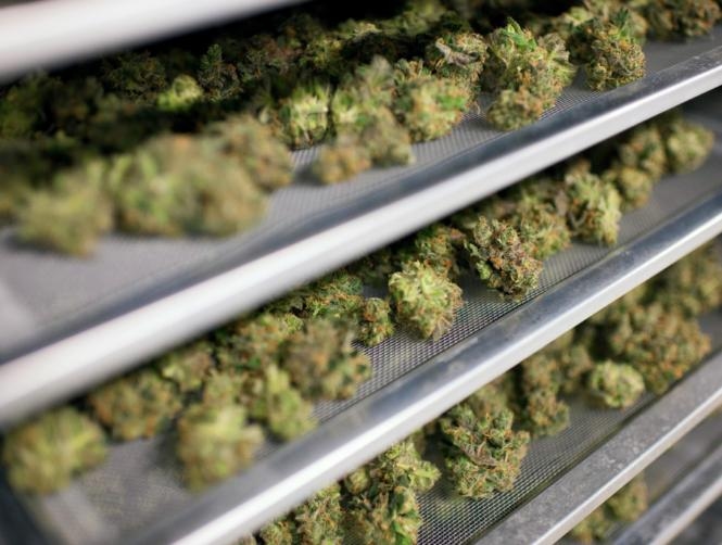 Main Highlight Image