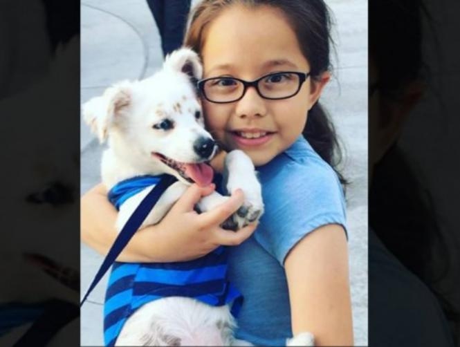 Main Highlight Image