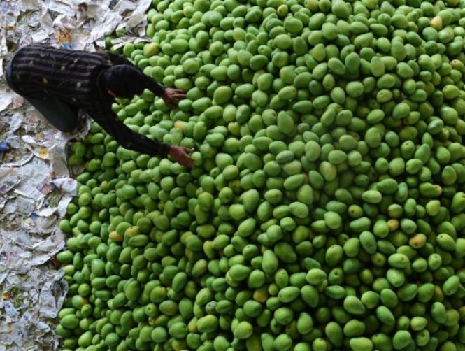 Main Highlight Image