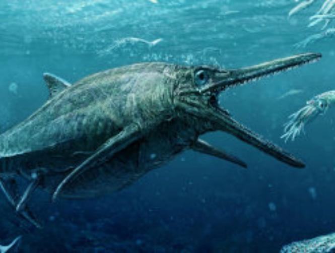 Main Highlight Image