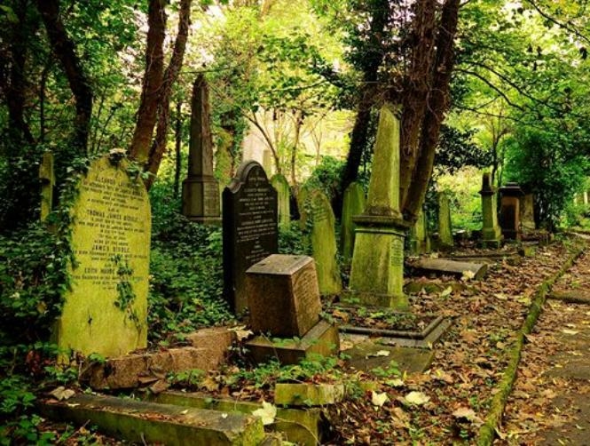 Plan Your Digital Afterlife and Rest in Cyber Peace