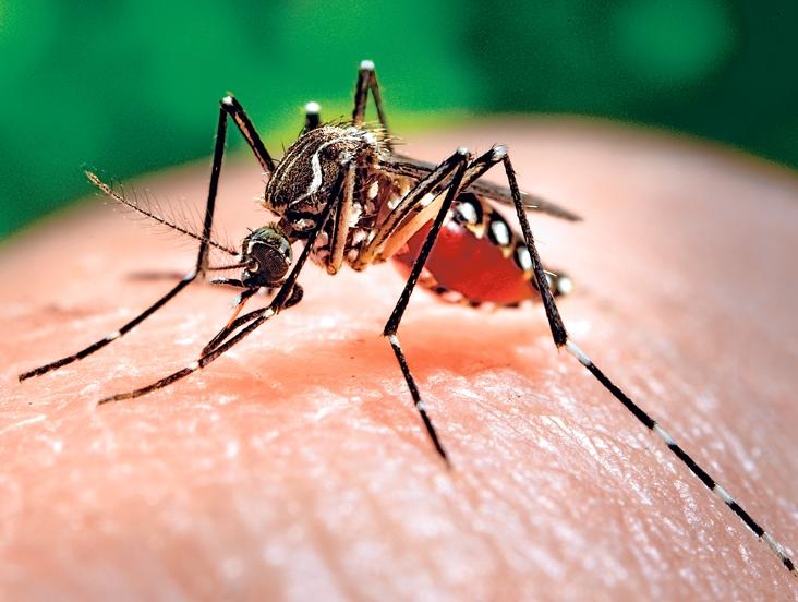 Florida expands Zika zone in Miami Beach after five new cases