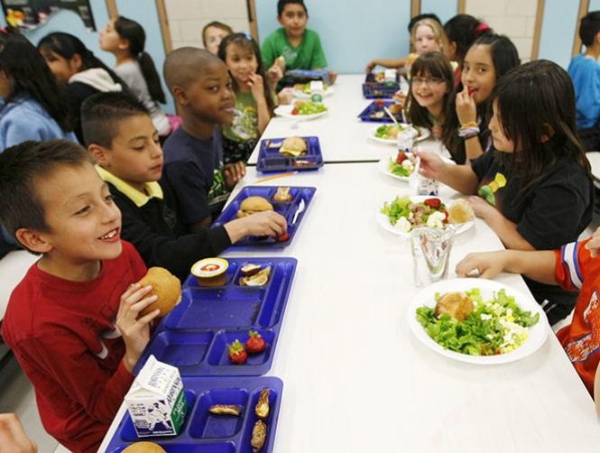 Main Highlight Image