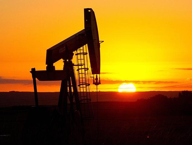 Oil market to remain volatile in near future: Aramco CEO