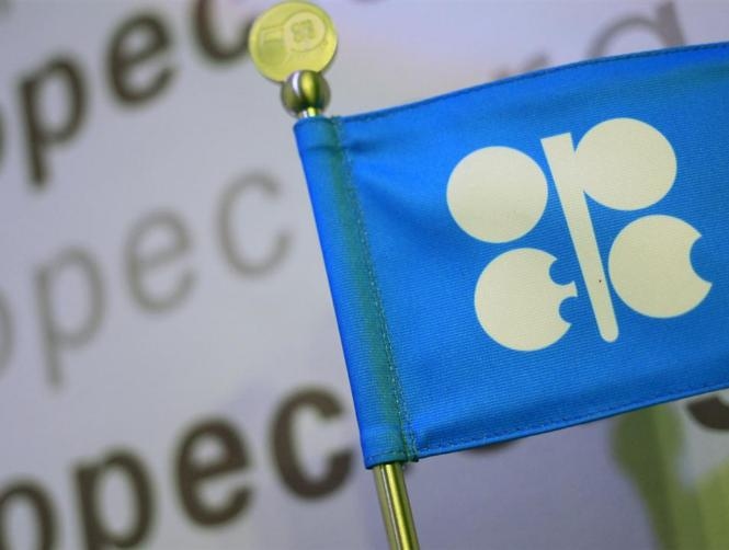 Saudi energy minister dashes hopes for OPEC deal in Algeria