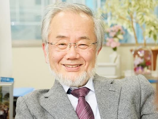 BBC News: Nobel medicine prize awarded to Yoshinori Ohsumi for his discoveries of mechanisms for autophagy