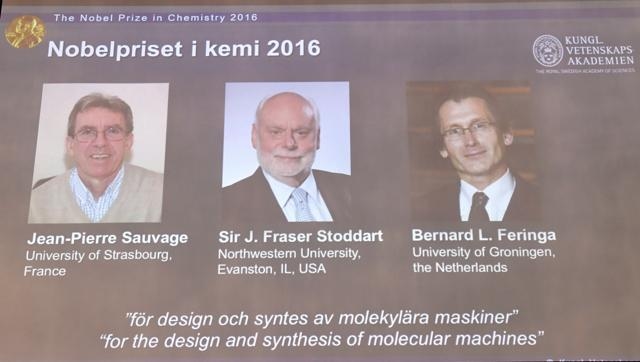 Sauvage, Stoddart, Feringa Win Nobel Chemistry Prize