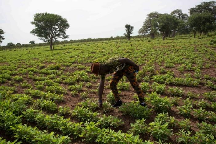 Senegal's Villages Deserted for Dreams of Europe