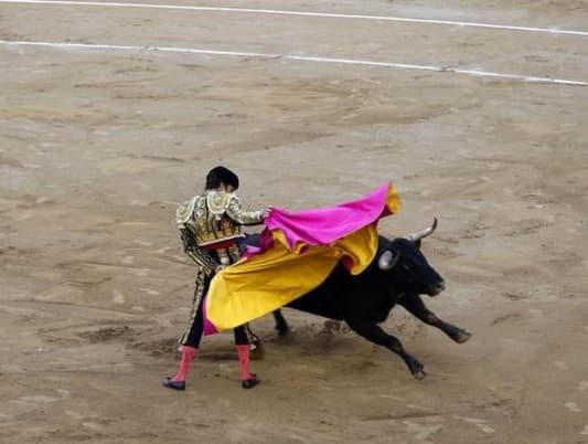 Spanish court overturns Catalonian bull-fighting ban