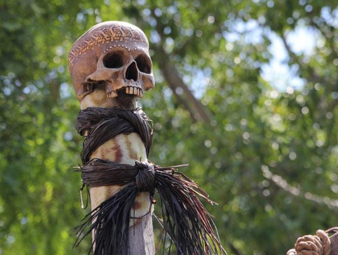 إمرأة وجمجمة تثيران الرعب في كاليفورنيا