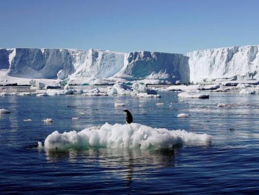 World's Largest Marine Park Created in Antarctic Ocean