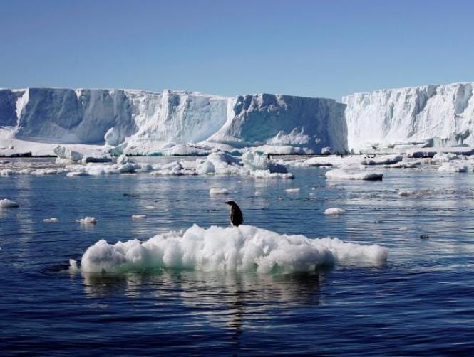 World's Largest Marine Park Created in Antarctic Ocean