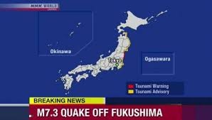 Tsunami Hits Japan after Strong Quake Near Fukushima Disaster Site