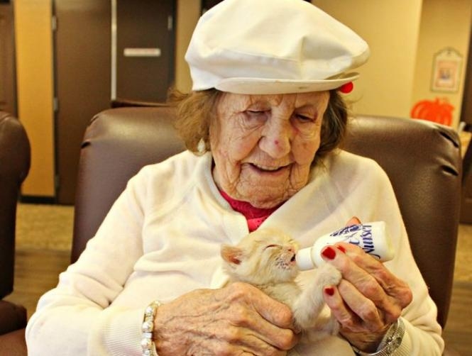 Main Highlight Image