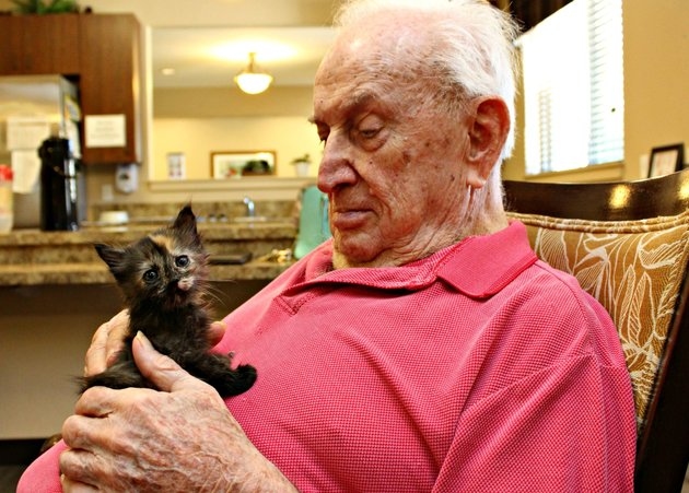 Orphaned Kittens Bring Immeasurable Joy To Dementia Patients