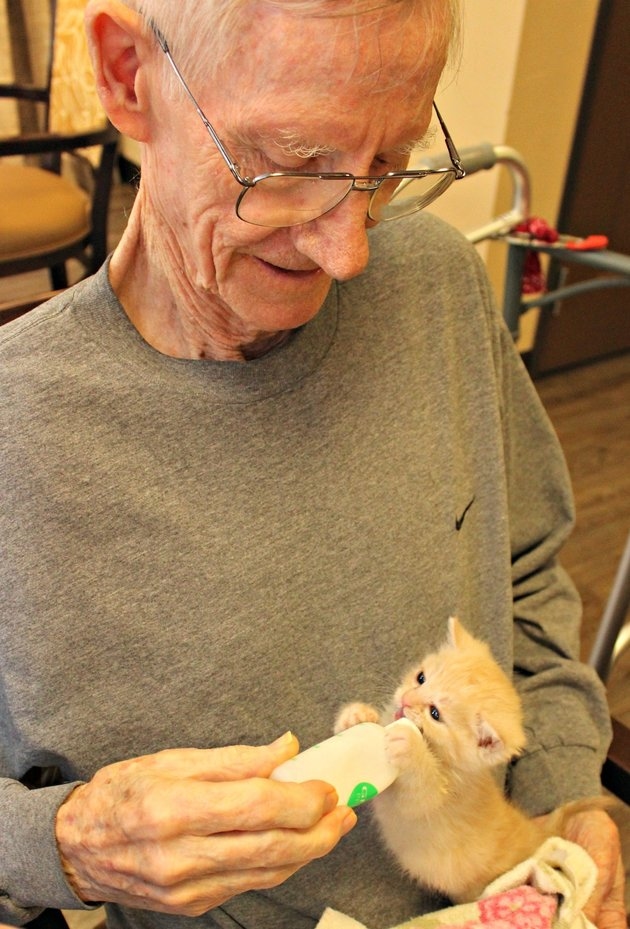 Orphaned Kittens Bring Immeasurable Joy To Dementia Patients