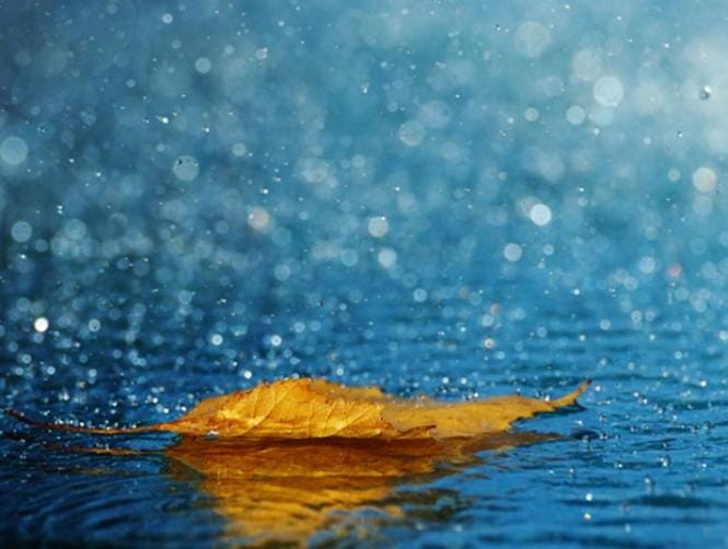 ما هي أضرار العاصفة في البترون؟