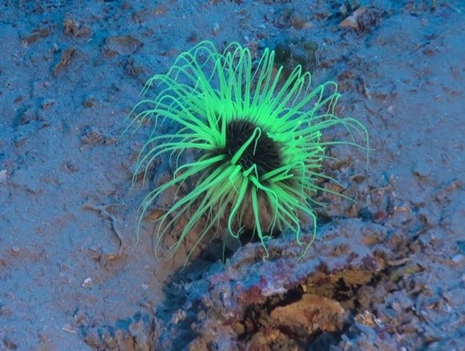 Main Highlight Image