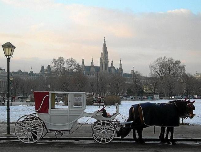 النمسا تختار رئيسها... فهل من مفاجأة؟