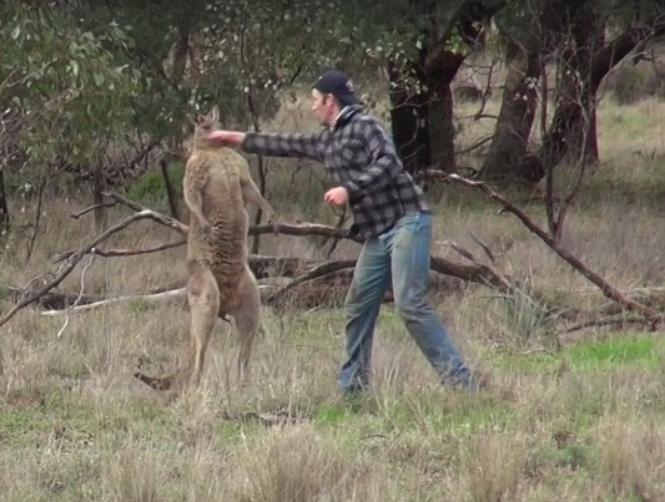 Main Highlight Image