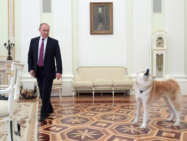 Putin's barking dog takes center stage at media interview