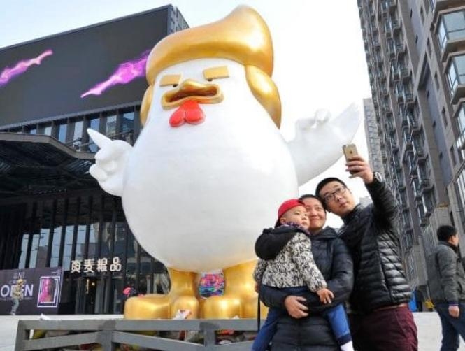 Main Highlight Image