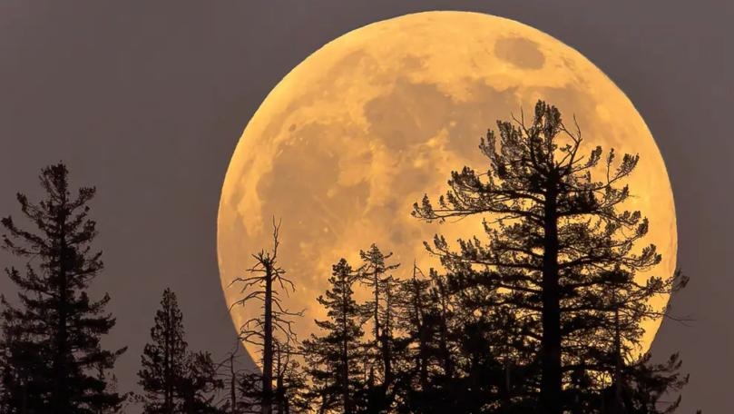 Full Moon 2021: What Is Worm ‘Supermoon’