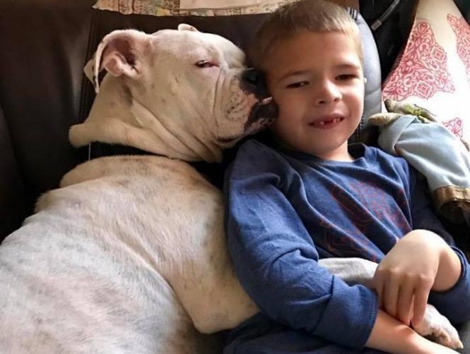 Non-Verbal Boy and Deaf Dog Communicate Using Sign Language