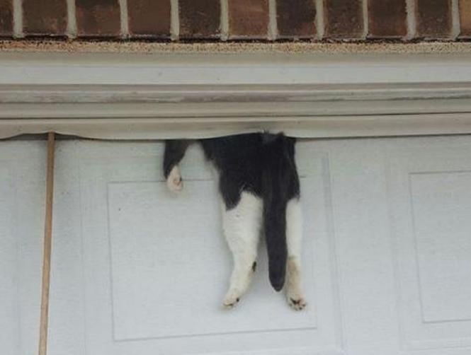 Main Highlight Image