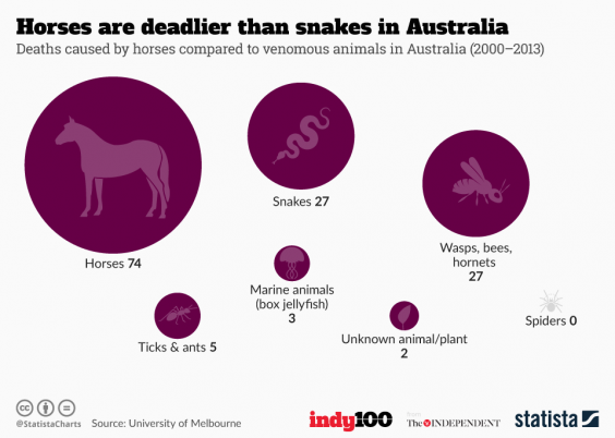 The Deadliest Animal in Australia is Not What You Think