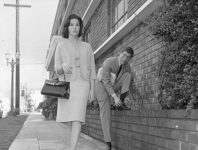 Main Highlight Image