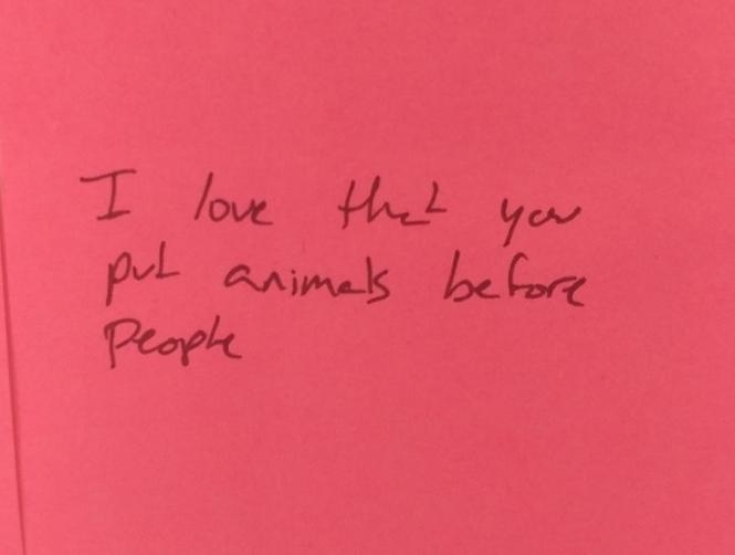 Husband Takes Valentine's Day Decoration to Next Level