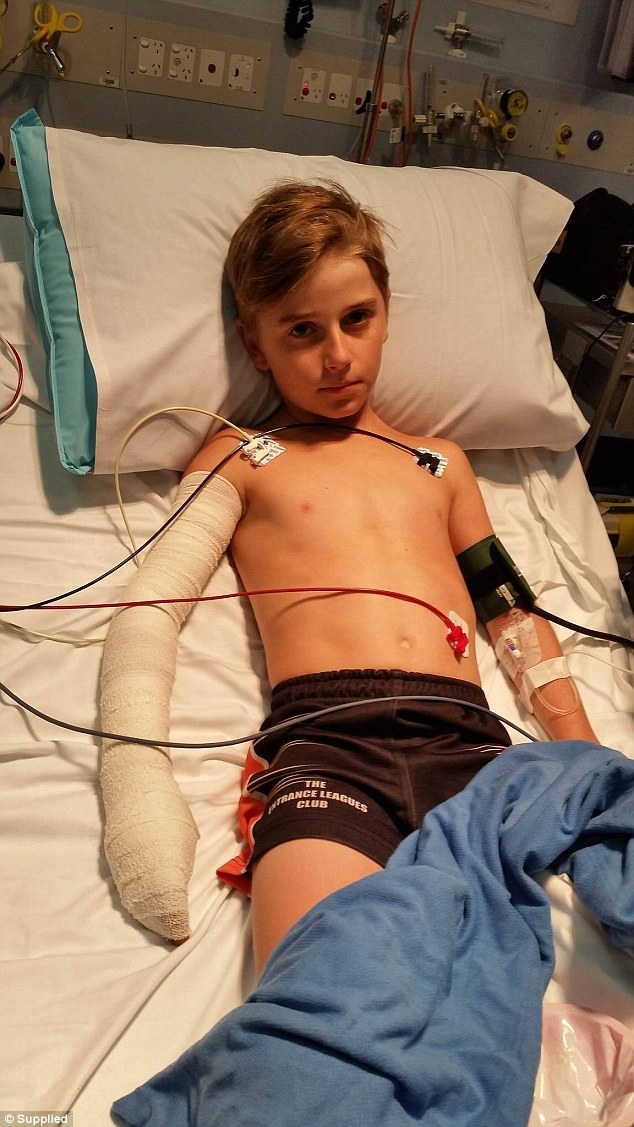 'Record' Dose of Anti-Venom Saves Boy from Deadly Spider