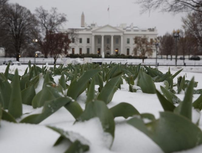 Photos: Storm Stella's Effects on the East Coast