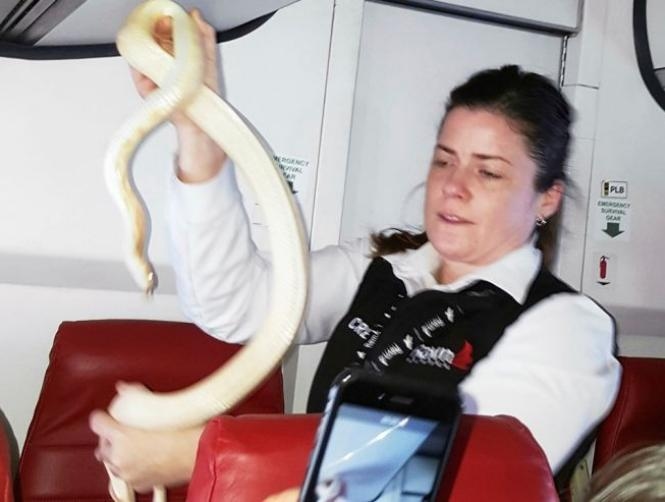 Main Highlight Image