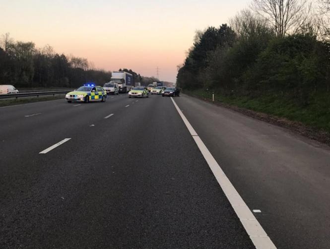 Woman Killed While Chasing Her Dog on Motorway at Rush Hour