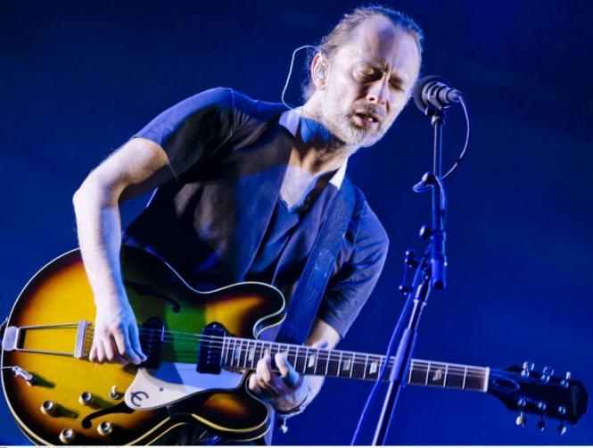 Radiohead Has Newly Discovered Ants Species Named after It