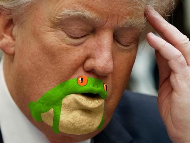 Photos: Someone Noticed Trump's Chin Looks Like a Frog and You Can't Unsee It