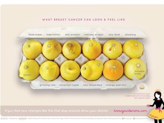 Breast Cancer Indicators Explained Through Lemons