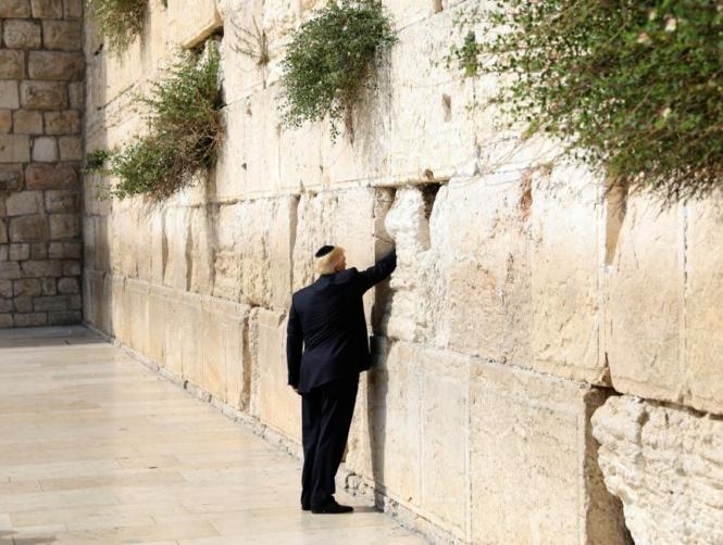 Main Highlight Image