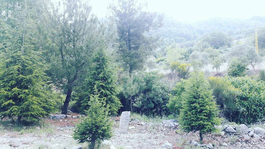 زرتُ هذا المكان "المُخيف"... ويا ليتني لم أفعل