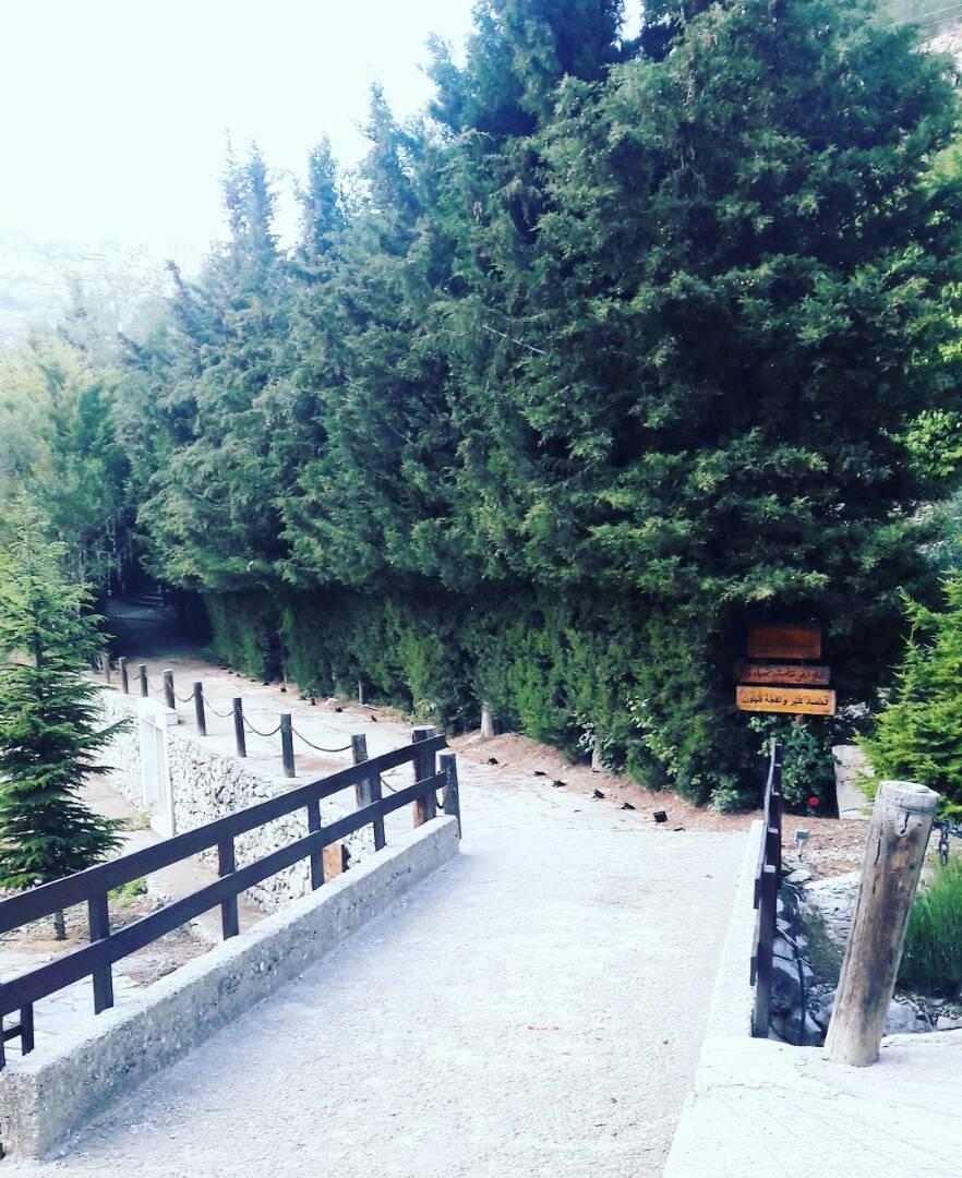 زرتُ هذا المكان "المُخيف"... ويا ليتني لم أفعل