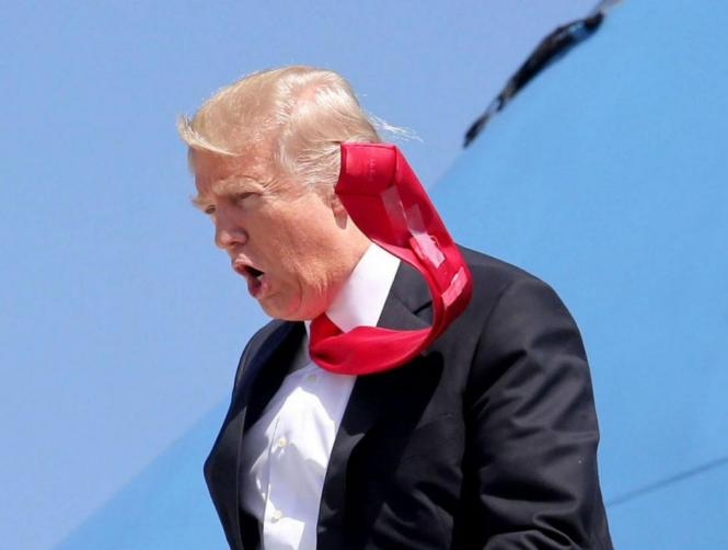 Main Highlight Image