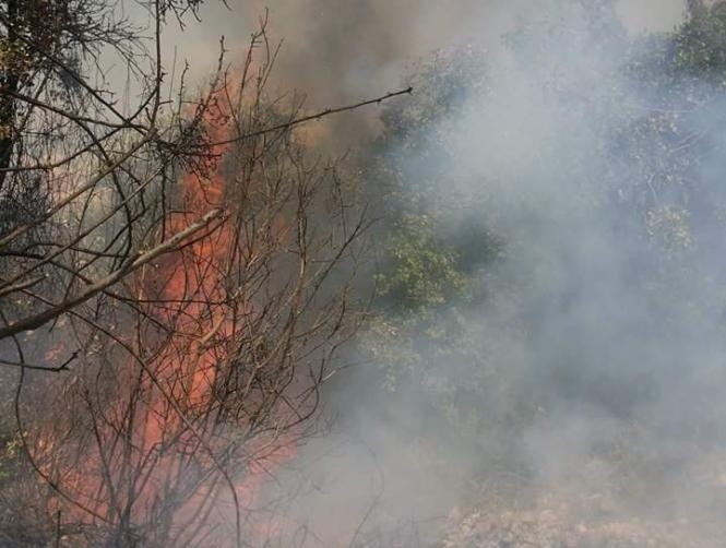 إخماد حرائق في ساحل علما وزوق مصبح وبزمار