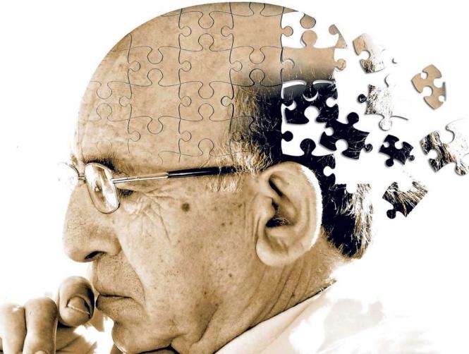 Main Highlight Image