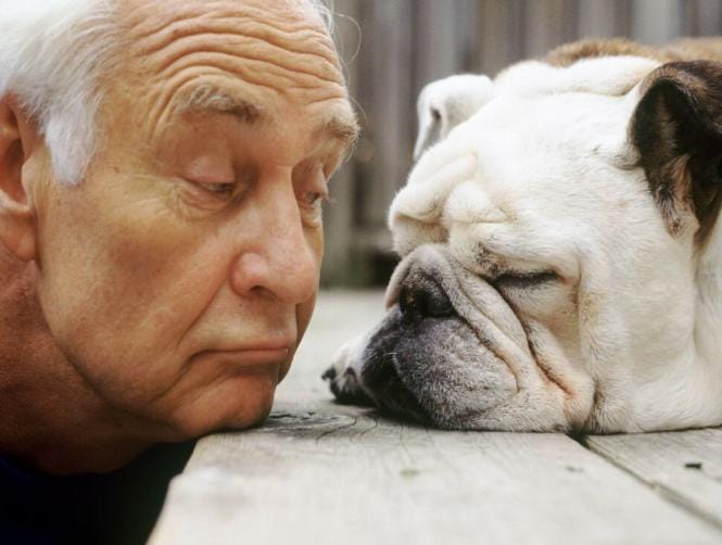Owning a Dog Could Be Key to Keeping Older People Healthy and Active